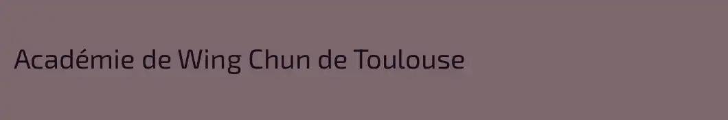 Académie de Wing Chun de Toulouse